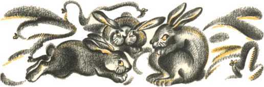 Не уходи, Аук!<br />(Лесные сказки) - i_030.jpg