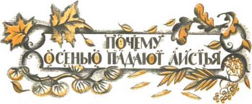 Не уходи, Аук!<br />(Лесные сказки) - i_031.jpg