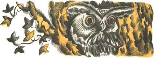 Не уходи, Аук!<br />(Лесные сказки) - i_036.jpg