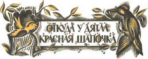 Не уходи, Аук!<br />(Лесные сказки) - i_039.jpg