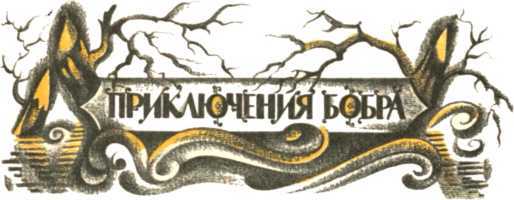 Не уходи, Аук!<br />(Лесные сказки) - i_043.jpg