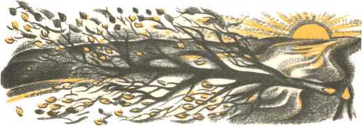 Не уходи, Аук!<br />(Лесные сказки) - i_044.jpg