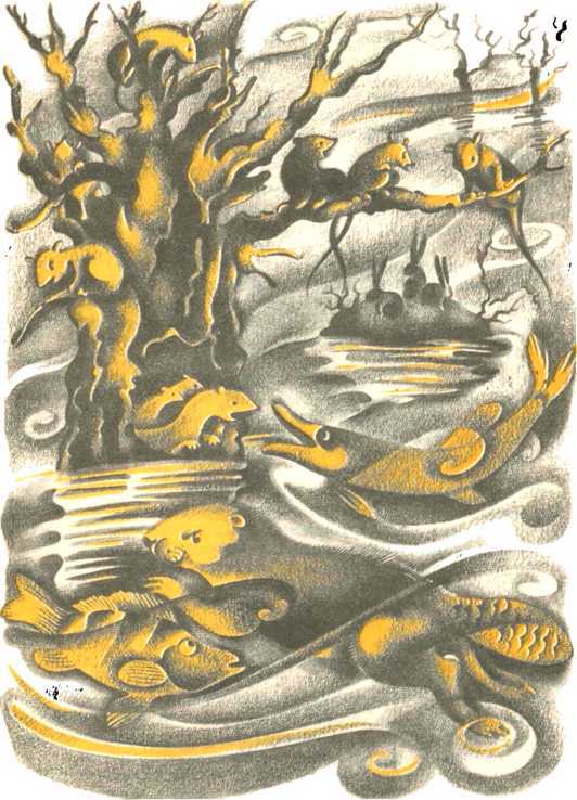 Не уходи, Аук!<br />(Лесные сказки) - i_046.jpg