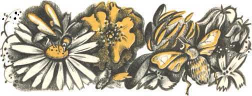 Не уходи, Аук!<br />(Лесные сказки) - i_048.jpg