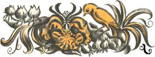 Не уходи, Аук!<br />(Лесные сказки) - i_053.jpg