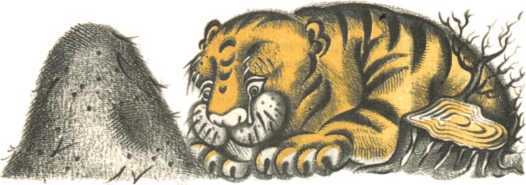 Не уходи, Аук!<br />(Лесные сказки) - i_057.jpg