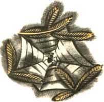 Не уходи, Аук!<br />(Лесные сказки) - i_063.jpg