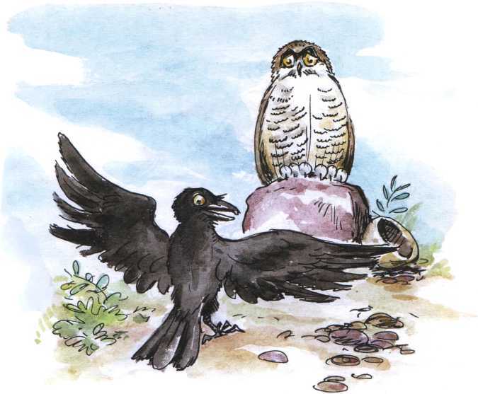 О честном вороне, коварной сове и глупом лисе<br />(Эскимосские сказки) - i_009.jpg