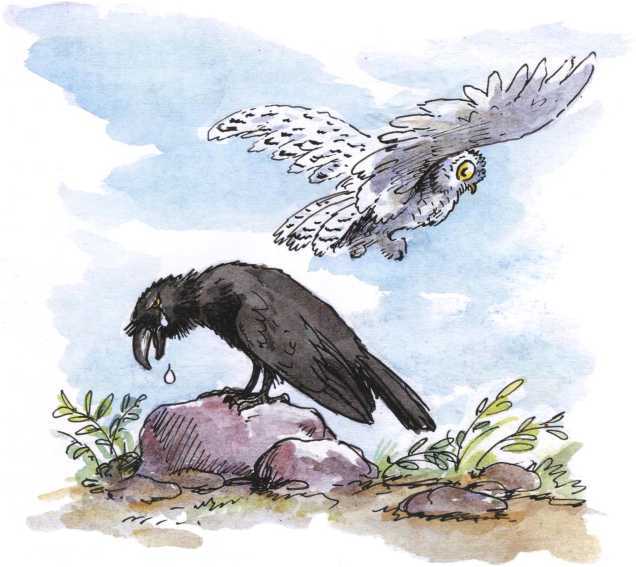 О честном вороне, коварной сове и глупом лисе<br />(Эскимосские сказки) - i_010.jpg