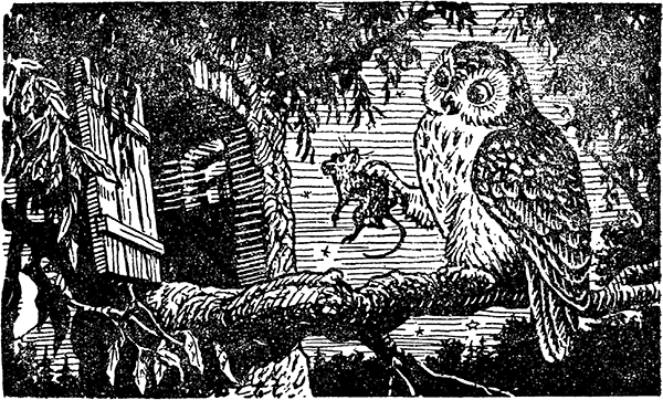 Сказки дедушки Матвея - i_005.png