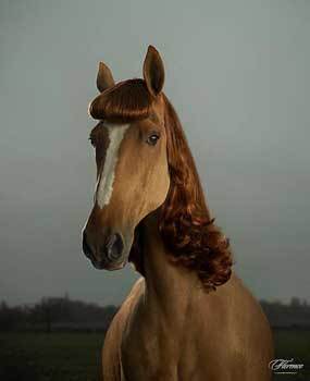 Попаданец в себя, 1960 год (СИ) - i_027.jpg