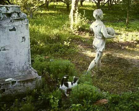 Попаданец в себя, 1963 год (СИ) - i_038.jpg