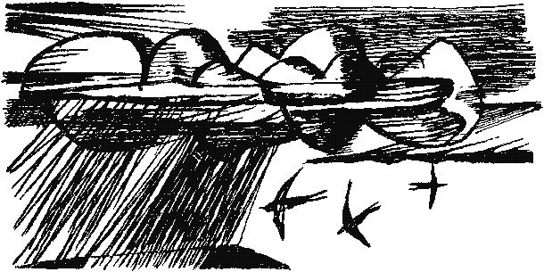 Антология советского детектива-44. Компиляция. Книги 1-20 (СИ) - i_029.png