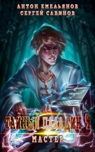 Тайный паладин 4: Мастер (СИ) - Емельянов Антон Дмитриевич