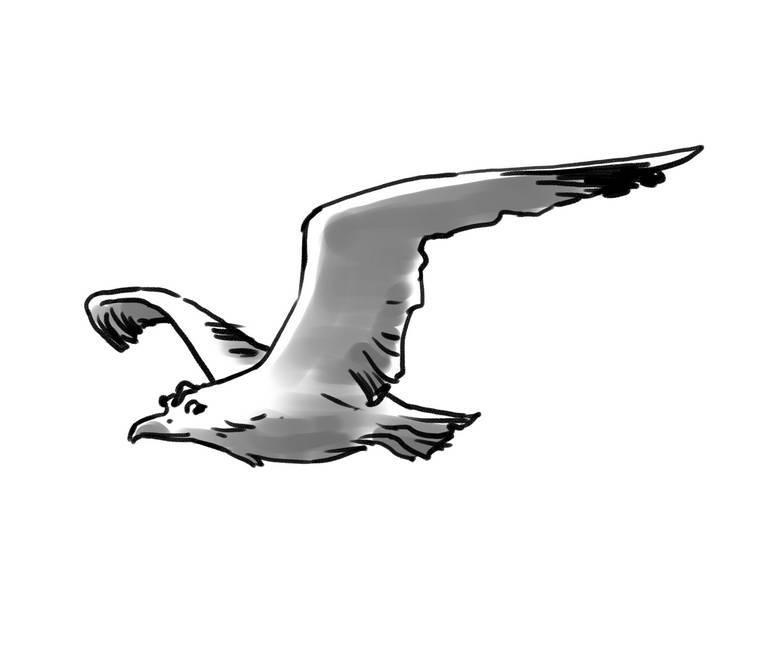 Ведьмино Варево (СИ) - Varevo19.jpg