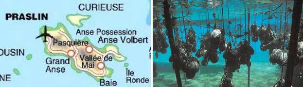 Античная наркомафия - 9 (СИ) - i_052.jpg