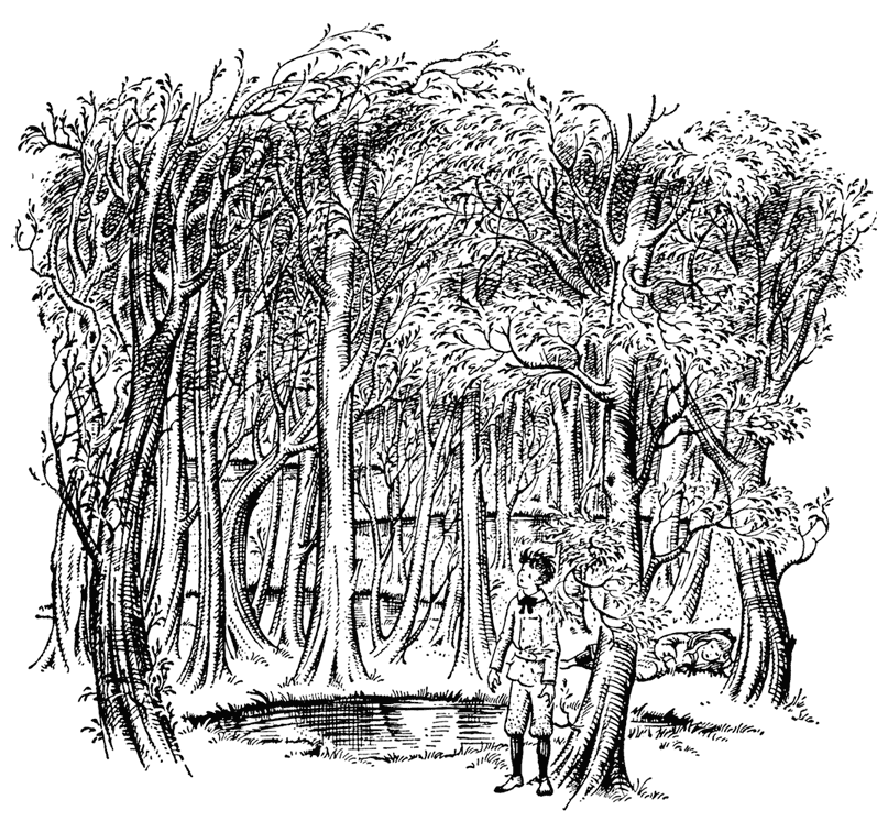 Хроники Нарнии. Вся история Нарнии в 7 повестях - i_008.png