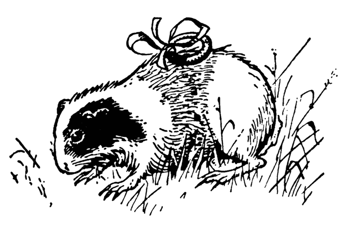 Хроники Нарнии. Вся история Нарнии в 7 повестях - i_009.png