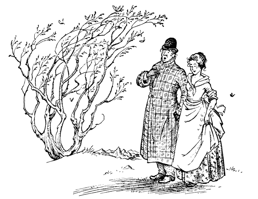 Хроники Нарнии. Вся история Нарнии в 7 повестях - i_037.png