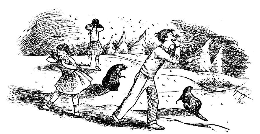 Хроники Нарнии. Вся история Нарнии в 7 повестях - i_069.png