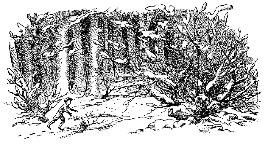 Хроники Нарнии. Вся история Нарнии в 7 повестях - i_070.png