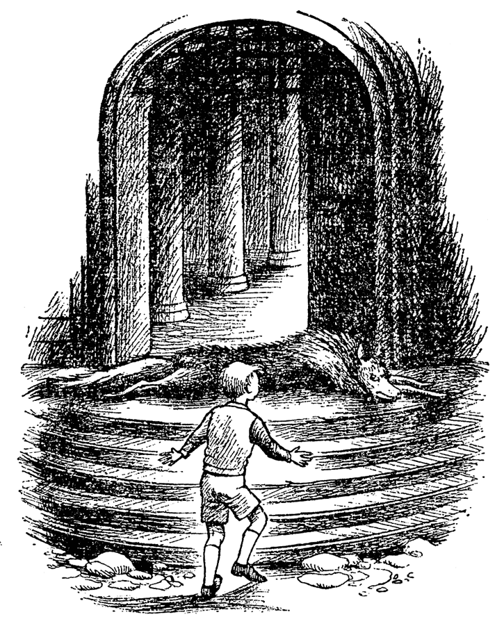 Хроники Нарнии. Вся история Нарнии в 7 повестях - i_073.png