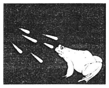 Структура реальности - doc2fb_image_02000004.jpg