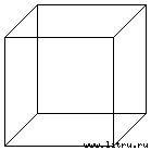 Расширенный фенотип: Дальнее влияние гена - necker.jpg