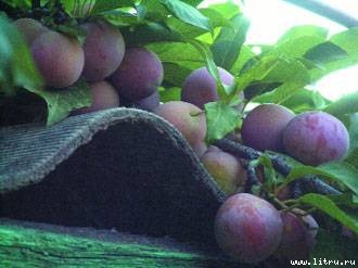 Домашний компьютер № 8 (122) 2006 - pic_67.jpg