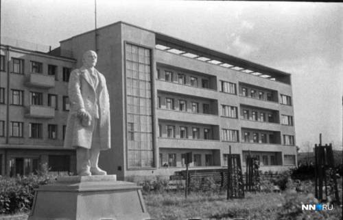 Роза (СИ) - img10.jpg