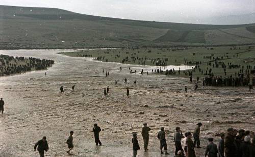 Роза (СИ) - img23.jpg