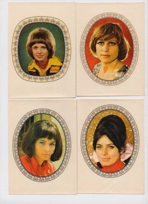 Роза (СИ) - img29.jpg