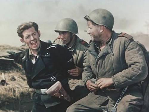 Роза (СИ) - img4.jpg