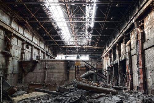 Роза (СИ) - img48.jpg