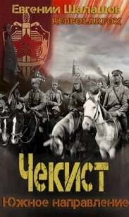 Южное направление (СИ) - Шалашов Евгений Васильевич
