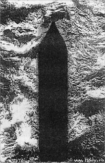 Der Schwarm - pic_2.jpg