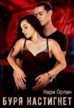 Буря настигнет (СИ) - Орлан Нари