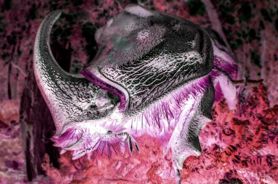 Фазовый переход (СИ) - img4.jpg