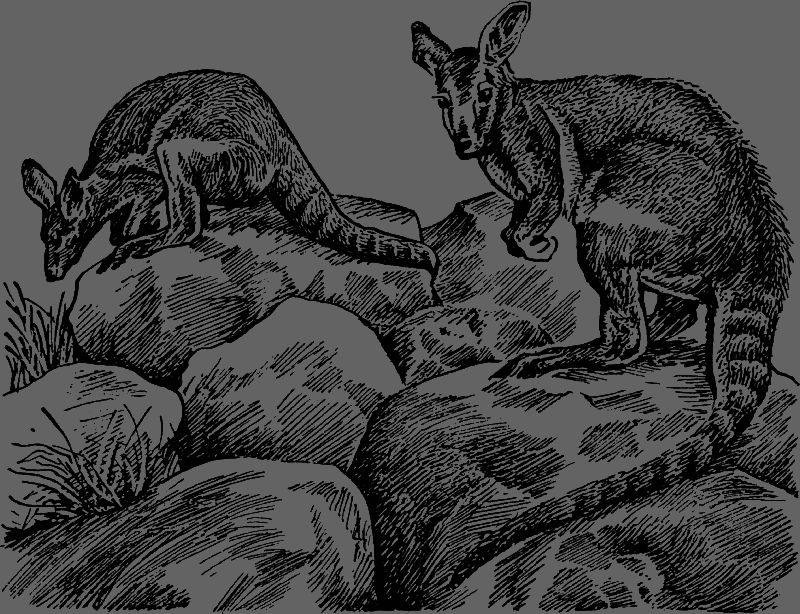 Полет бумеранга - any2fbimgloader4.png