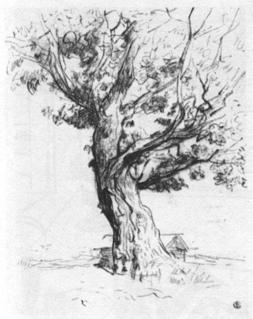 Мрачное чудовище Бельтера (ЛП) - _2.jpg