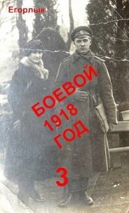 Боевой 1918 год-3 (СИ) - Конюшевский Владислав Николаевич