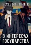 Читать книгу В интересах государства. Возвышение (СИ), автор Хай Алекс В интересах государства. Возвышение (СИ) - Хай Алекс