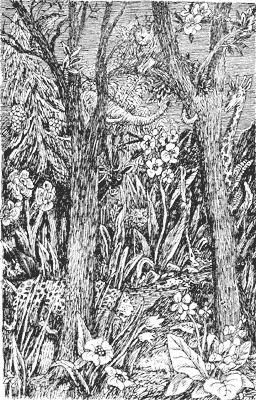 Волшебный мелок - i_015.png