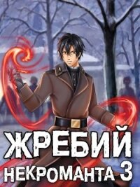 Жребий некроманта 3 (СИ) - Решетов Евгений Валерьевич "Данте"