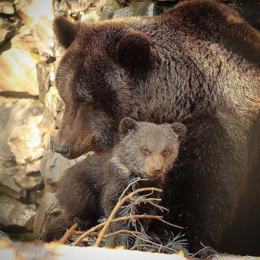 Тень зла (СИ) - p907b5c9fe2d14106a224c18bf290cbba.jpg