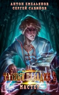 Тайный паладин 4. Мастер - Савинов Сергей Анатольевич