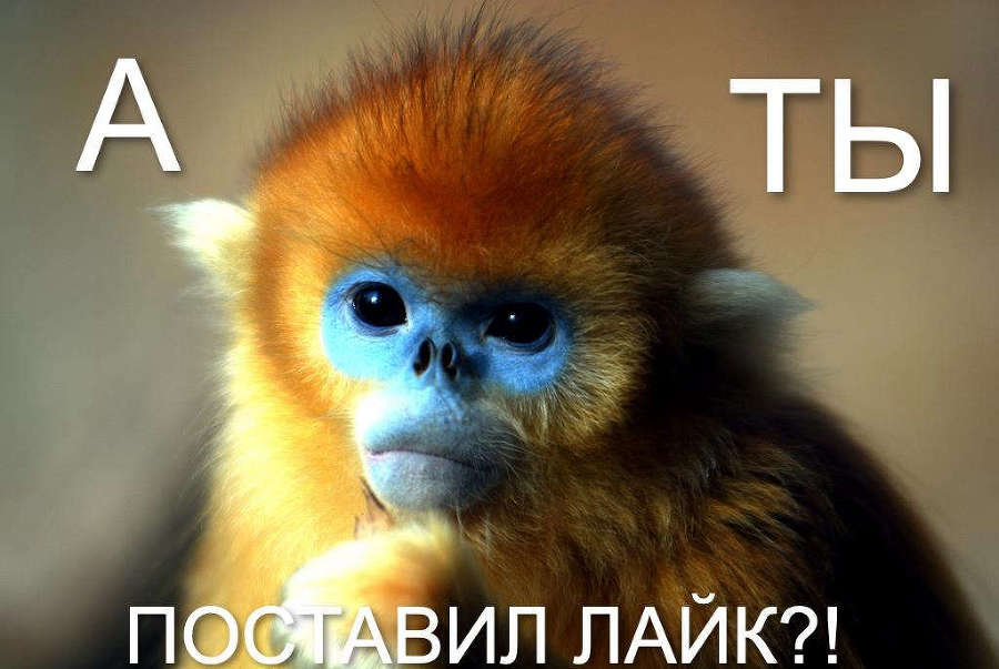 Дельта. Вернувшийся из будущего (СИ) - _3cbf2f0b03310626a7e144b807d2b964