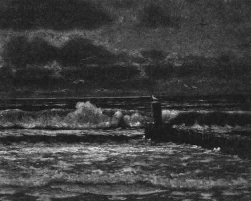 Белая Мария - _2.jpg