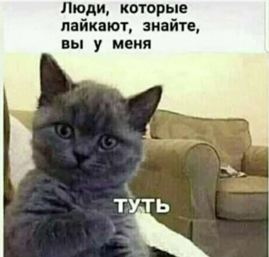 Новый Рал 2 (СИ) - _36eeaad2ed4501ea49e3362501d48efd