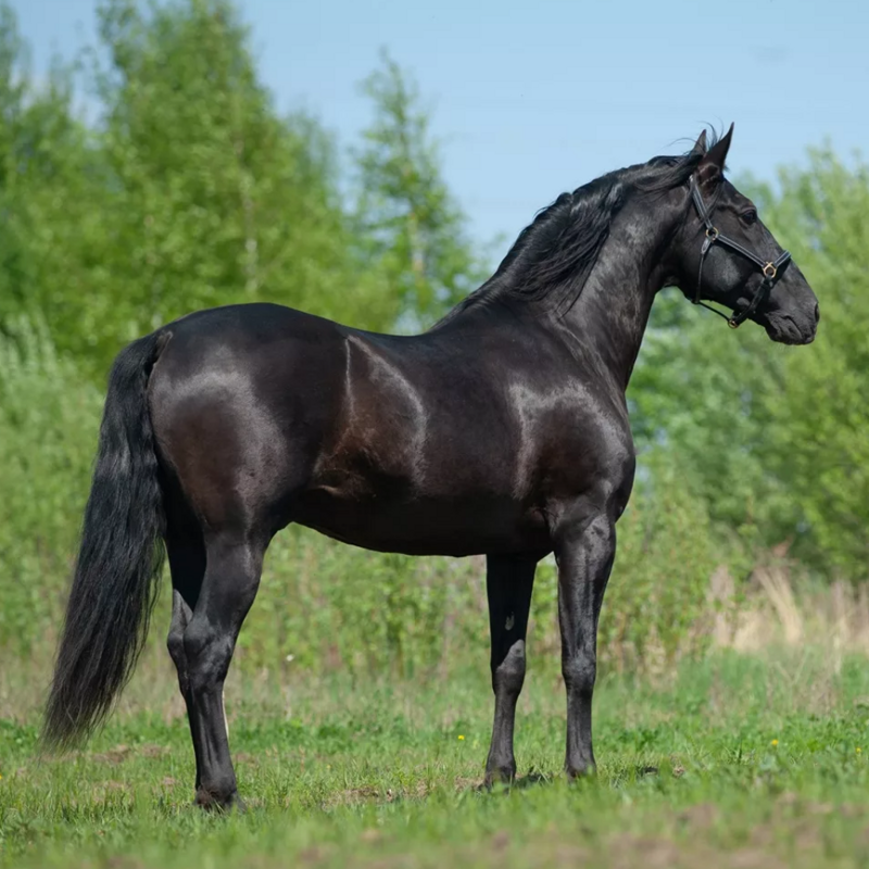 За тысячи лет до армагеддона (СИ) - img10.jpg